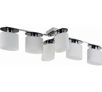 Потолочный светильник Freya Bice FR5101-CL-06-CN