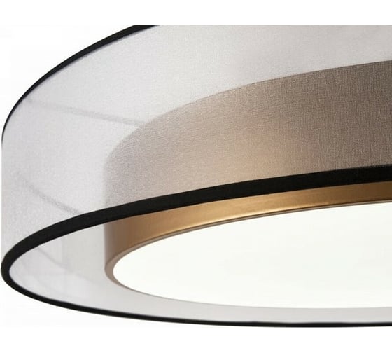 Потолочный светильник Freya Zoticus FR6005CL-L48G