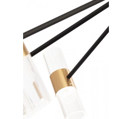 Потолочный светильник Freya Mia FR6038CL-L80B
