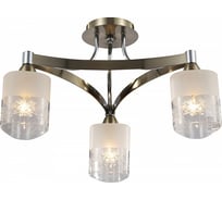 Потолочный светильник Freya Tasmania FR5475CL-03CH