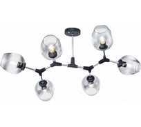 Потолочный светильник Freya Desi FR5006CL-06B