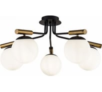 Потолочный светильник Freya Paolina FR5011CL-05B