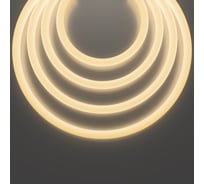 Гибкий неон MAYTONI Nemo D25 24В 14,4Вт/м 3000К IP65 5м 20301