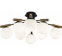 Потолочный светильник Freya Paolina FR5011CL-08B