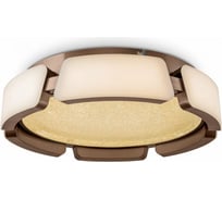 Потолочный светильник Freya Ethan FR6041CL-L92W