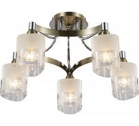 Потолочный светильник Freya Tasmania FR5475CL-05CH