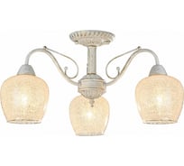 Потолочный светильник Freya Andri FR2751-PL-03-WG