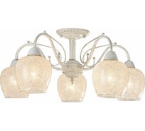 Потолочный светильник Freya Andri FR2751-PL-05-WG