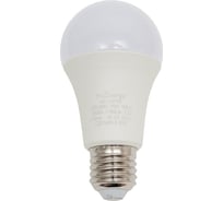 Лампа светодиодная truEnergy 15W A60 (груша) E27 3000K 1240Lm 14159