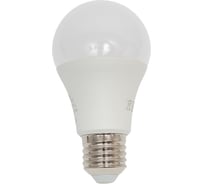 Лампа светодиодная truEnergy 12W A60 (груша) E27 3000K 1030Lm 14157