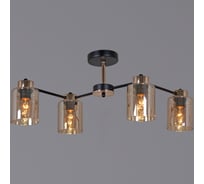 Потолочная люстра ReLuce 01606-0.3-04 BK+FGD