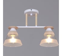 Потолочный светильник ReLuce 01630-0.3-02 WH+WOOD