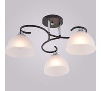 Потолочный светильник ReLuce 01635-0.3-03 BK+CR