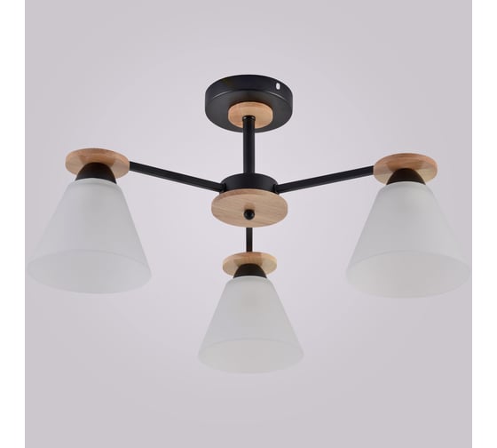 Потолочный светильник ReLuce 01625-0.3-03 BK+WOOD