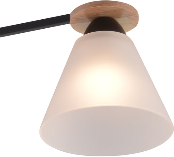 Потолочный светильник ReLuce 01625-0.3-03 BK+WOOD