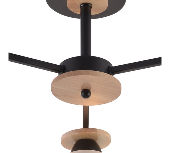 Потолочный светильник ReLuce 01625-0.3-03 BK+WOOD