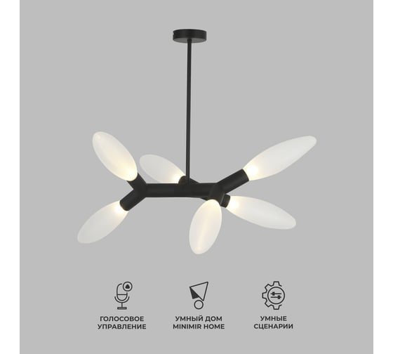 Потолочный светильник Eurosvet 30180/6 черный a069153 1