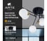 Потолочная люстра ARTE LAMP GEMINI A2243PL-6BK 6