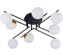 Потолочная люстра ARTE LAMP GEMINI A2243PL-8BK