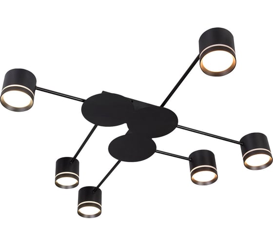 Потолочная люстра ARTE LAMP LEGACY A8024PL-6BK
