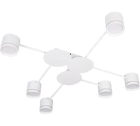 Потолочная люстра ARTE LAMP LEGACY A8024PL-6WH