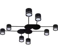 Потолочная люстра ARTE LAMP LEGACY A8024PL-8BK
