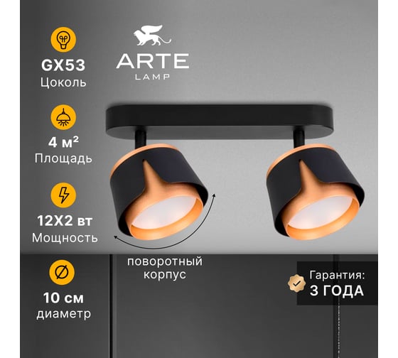 Спот ARTE LAMP AMAKS A8028PL-2BK