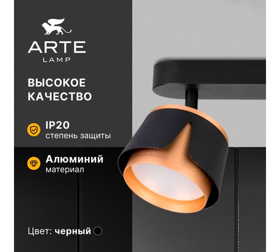 Спот ARTE LAMP AMAKS A8028PL-2BK