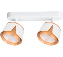 Спот ARTE LAMP AMAKS A8028PL-2WH