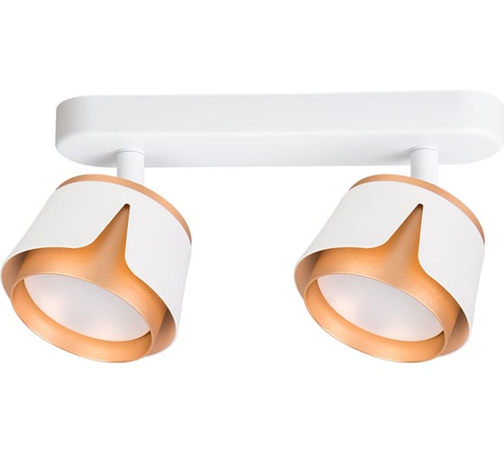 Спот ARTE LAMP AMAKS A8028PL-2WH