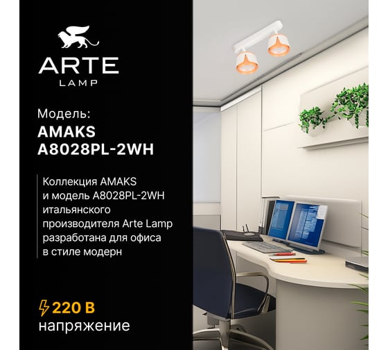Спот ARTE LAMP AMAKS A8028PL-2WH