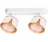 Спот ARTE LAMP AMAKS A8028PL-2WH 1