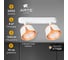 Спот ARTE LAMP AMAKS A8028PL-2WH 3