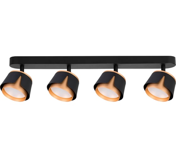 Спот ARTE LAMP AMAKS A8028PL-4BK