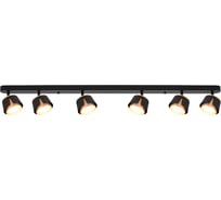Спот ARTE LAMP AMAKS A8028PL-6BK