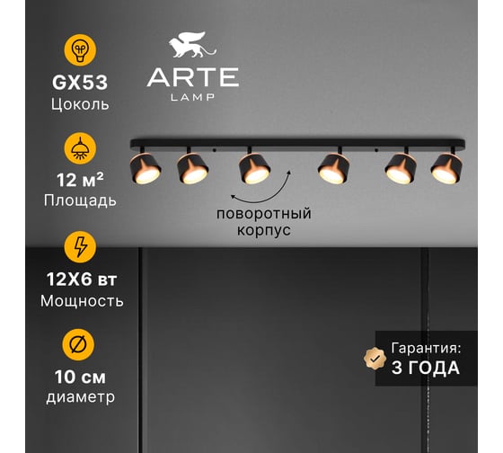Спот ARTE LAMP AMAKS A8028PL-6BK