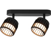 Спот ARTE LAMP ATRIA A8031PL-2BK