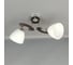 Люстра JUPITER LIGHTING хром, венге-2х60W E27 230V, 28-48-20 N01-1715/2 3