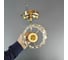 Бра JUPITER LIGHTING золото-1х60W E27 230V, 24-12-19 N 0847/1 15