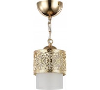 Подвесной светильник Freya, Teofilo FR2200-PL-01-G