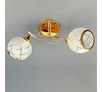 Люстра JUPITER LIGHTING ТЕЯ золото-2х60W E27 230V N10-3064/2