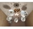 Люстра JUPITER LIGHTING золото-5х60W E27 230V, 27-d 50 N10-0367/5 4