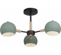 Потолочный светильник Freya, Trisha FR5032CL-03B