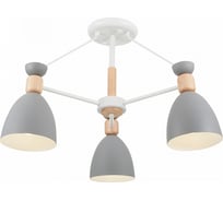 Потолочный светильник Freya, Delia FR5033CL-03W