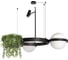 Подвесной светильник LOFT IT Jardin 10121/2 1