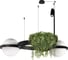 Подвесной светильник LOFT IT Jardin 10121/2 3