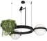 Подвесной светильник LOFT IT Jardin 10121/2 5