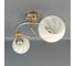 Люстра JUPITER LIGHTING хром-2х60W E27 230V, 50-20-31 N10-2889/2 6