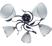 Люстра JUPITER LIGHTING черный+хром-5х60W E27 230V, 24-60-60 N10-2709/5
