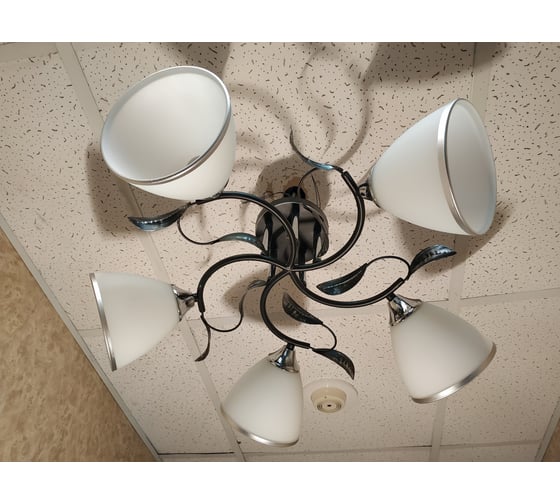 Люстра JUPITER LIGHTING черный+хром-5х60W E27 230V, 24-60-60 N10-2709/5